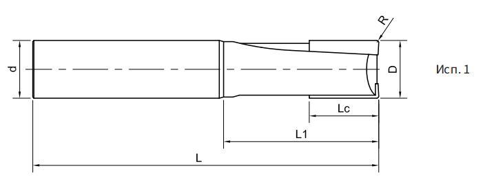 Эскиз: DNM100-RS2-04002 Фреза монолитная твердосплавная Gesac