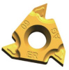 16ERA60-TC-GM3225 Пластина резьбовая Gesac