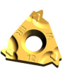 16ER10W-TC-GM3225 Пластина резьбовая Gesac