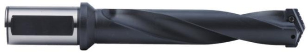 GSD-245-06D-FC32 Корпус перового сверла Gesac